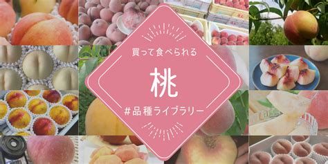 桃樹種類|モモ（桃）の種類（原種、品種）